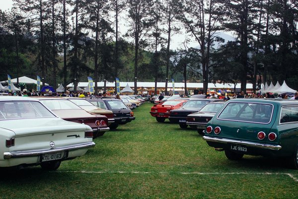Accessoires Élégants : Choisissez le Parfait pour Chaque Occasion